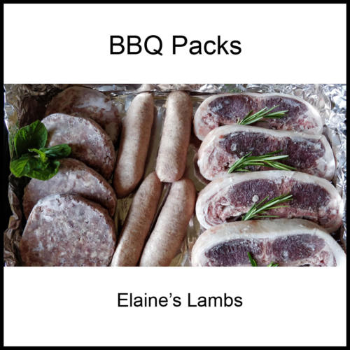 bbq-packs